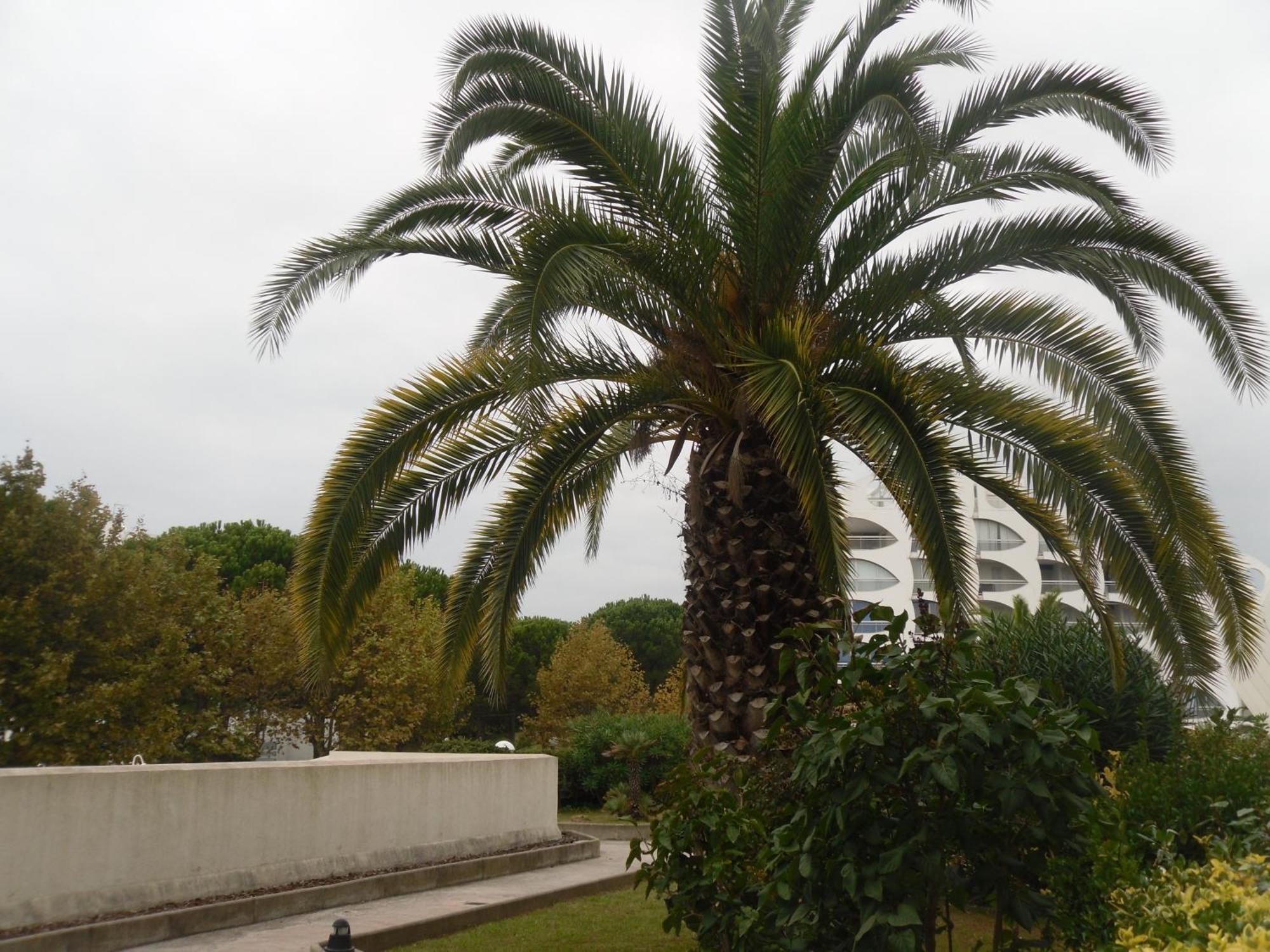 Appartement Vittoria Immobilier 9 -reglement Sur Place - Cheques Acceptes *